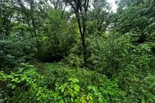 11787 Staffordsburg Rd, Independence, KY 41051 - Photo 31