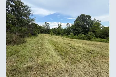 00 Swope Natlee Road, Corinth, KY 41010 - Photo 5