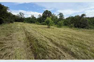 00 Swope Natlee Road, Corinth, KY 41010 - Photo 9