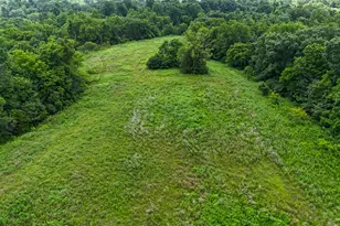 0 Little Cabin, Vanceburg, KY 41179 - Photo 3
