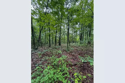 0 Thorp Ridge Road, Vanceburg, KY 41179 - Photo 9