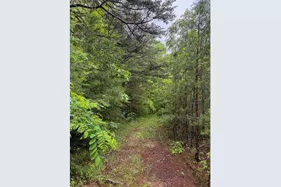 0 Thorp Ridge Road, Vanceburg, KY 41179 - Photo 11