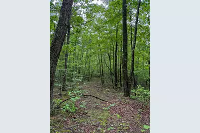 0 Thorp Ridge Road, Vanceburg, KY 41179 - Photo 3