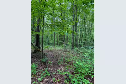 0 Thorp Ridge Road, Vanceburg, KY 41179 - Photo 13