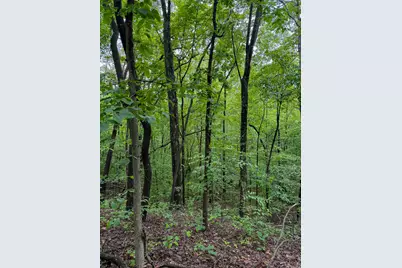 0 Thorp Ridge Road, Vanceburg, KY 41179 - Photo 7