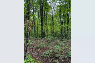 0 Thorp Ridge Road, Vanceburg, KY 41179 - Photo 5