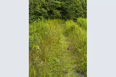 00 Thorp Ridge, Vanceburg, KY 41179 - Photo 15