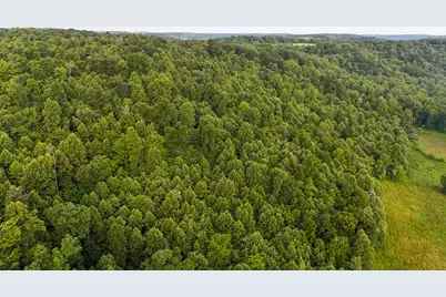 00 Thorp Ridge, Vanceburg, KY 41179 - Photo 3