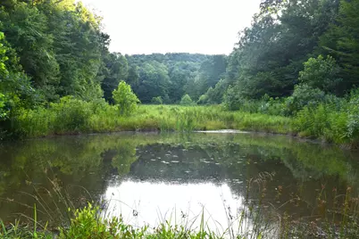 0 Spring Road, Wallingford, KY 41093 - Photo 11