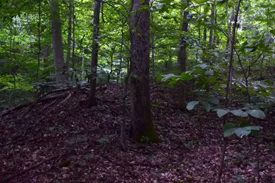 0 Spring Road, Wallingford, KY 41093 - Photo 13