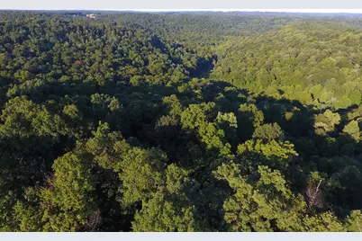 0 Spring Road, Wallingford, KY 41093 - Photo 33