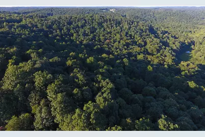 0 Spring Road, Wallingford, KY 41093 - Photo 31