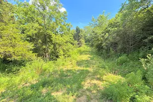 15935 Madison Pike, Piner, KY 41033 - Photo 7
