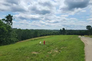 0 Vallandingham Rd, Dry Ridge, KY 41035 - Photo 1