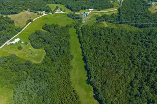 4070 Heekin Lawrenceville Rd, Williamstown, KY 41097 - Photo 13