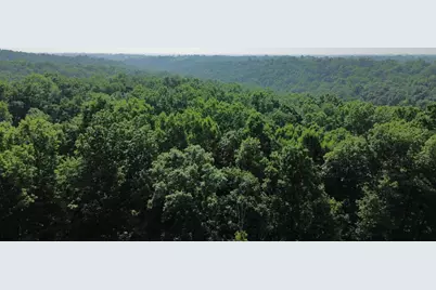 277 Needham Lane, Dry Ridge, KY 41035 - Photo 21