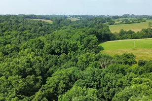 277 Needham Ln, Dry Ridge, KY 41035 - Photo 1