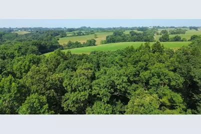 277 Needham Lane, Dry Ridge, KY 41035 - Photo 3