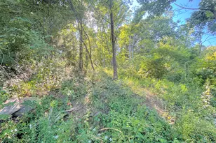 3664 Fiskburg Rd, Morningview, KY 41063 - Photo 15