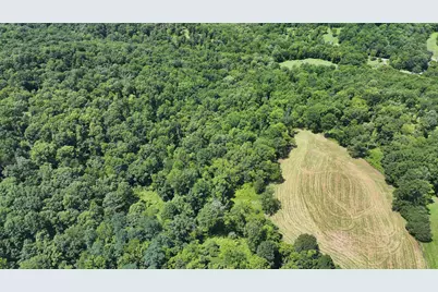 1629 Ky Highway 1130, Sanders, KY 41083 - Photo 25