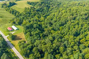 0 Hwy 455, Sparta, KY 41086 - Photo 9