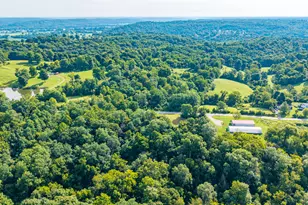 0 Hwy 455, Sparta, KY 41086 - Photo 19