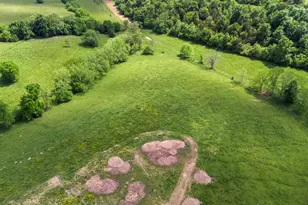 850 W Gardner Rd, Cynthiana, KY 41031 - Photo 25