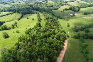 850 W Gardner Rd, Cynthiana, KY 41031 - Photo 37