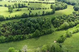 850 W Gardner Rd, Cynthiana, KY 41031 - Photo 35