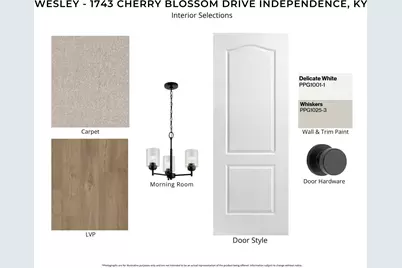 1743 Cherry Blossom Drive, Independence, KY 41051 - Photo 3