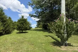 451 Mann Spur, Mount Olivet, KY 41064 - Photo 17