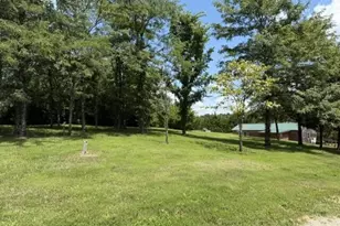 451 Mann Spur, Mount Olivet, KY 41064 - Photo 3