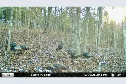 7.9 Acres Lawrenceville Road, Dry Ridge, KY 41035 - Photo 11