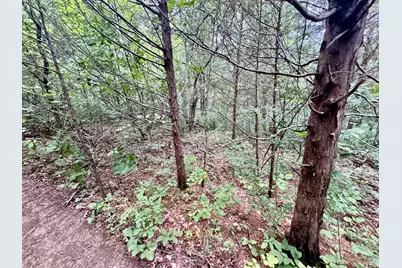 7.9 Acres Lawrenceville Road, Dry Ridge, KY 41035 - Photo 5