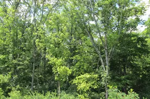2644 Timberside Dr, Hebron, KY 41048 - Photo 25