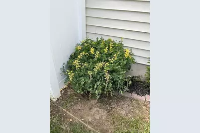 303 Center Park Drive, Florence, KY 41042 - Photo 31