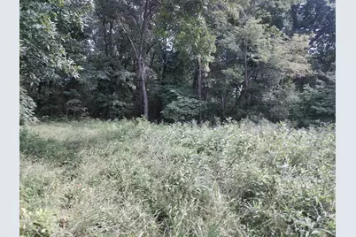 375 Moon Road, Williamstown, KY 41097 - Photo 13