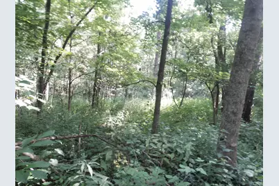 375 Moon Road, Williamstown, KY 41097 - Photo 5