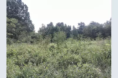 375 Moon Road, Williamstown, KY 41097 - Photo 11