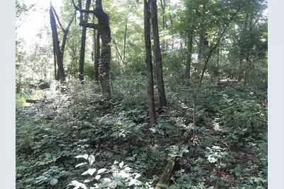 375 Moon Road, Williamstown, KY 41097 - Photo 7