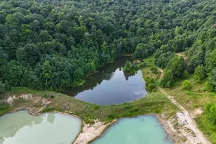 1000 Lazy Bee Ln, Vanceburg, KY 41179 - Photo 7