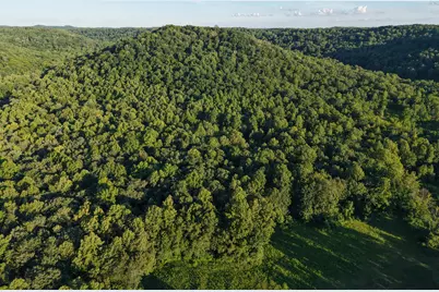 2319 Beechy Creek Road, Tollesboro, KY 41189 - Photo 13