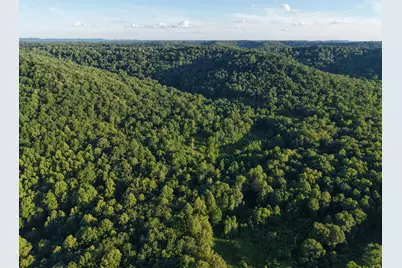 2319 Beechy Creek Road, Tollesboro, KY 41189 - Photo 17
