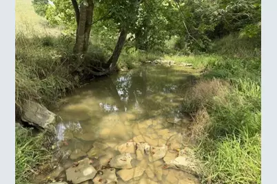 2318 Barlow Road, Cynthiana, KY 41031 - Photo 7