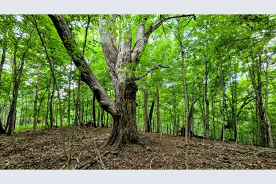 0 Highway 184, Sparta, KY 41086 - Photo 1