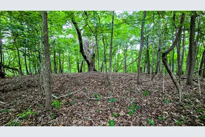 0 Highway 184, Sparta, KY 41086 - Photo 13