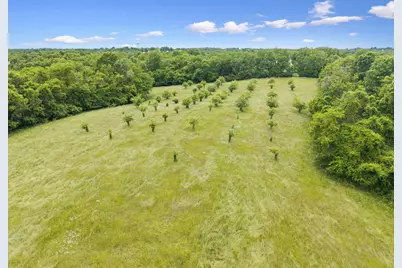 0 Lockmier 57+/- Acres Road, Augusta, KY 41002 - Photo 1