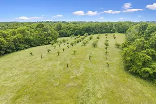 0 Lockmier 57+/- Acres Rd, Augusta, KY 41002 - Photo 1