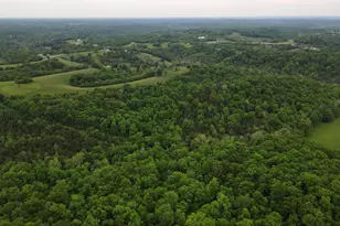 8275 KY-10, Falmouth, KY 41040 - Photo 35