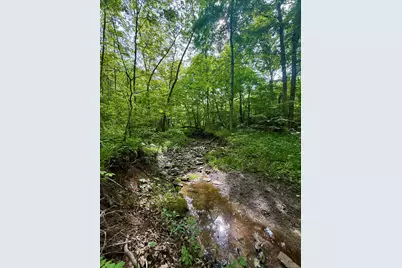 8275 Ky-10, Falmouth, KY 41040 - Photo 49